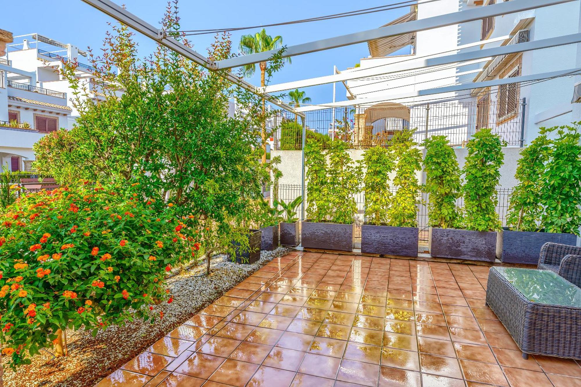 טורבייחה Sunny Apartments In La Mata, Azul Beach 2 מראה חיצוני תמונה
